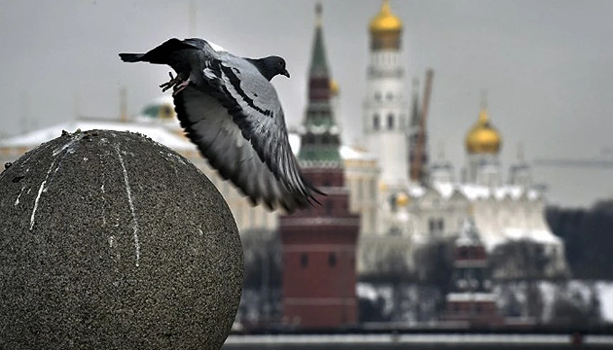 Прессекретар президента РФ Дмитро Пєсков під час брифінгу в Москві